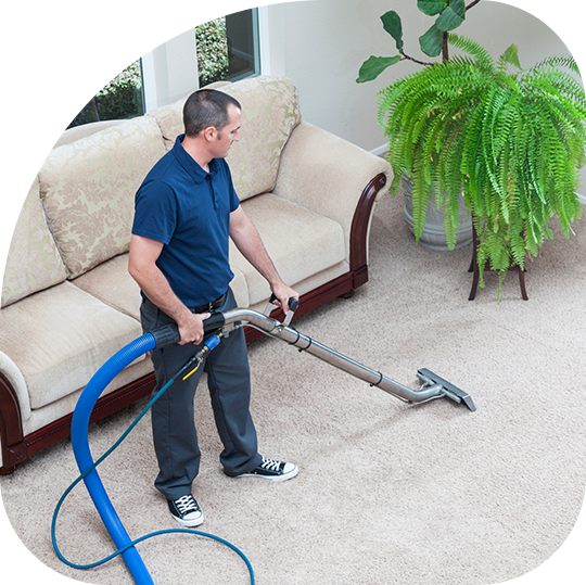 Snohomish Carpet Cleaning